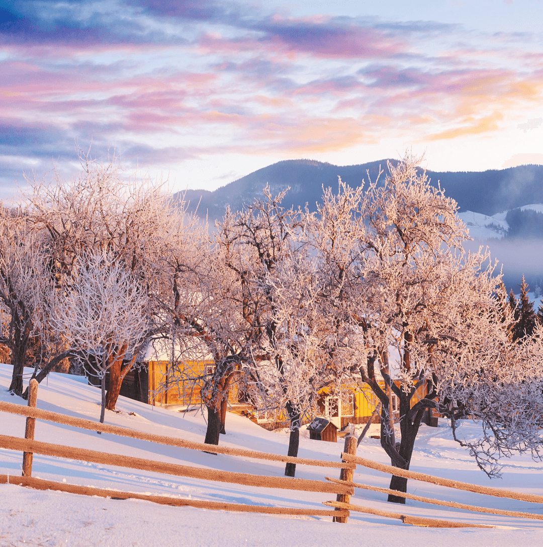 Winter